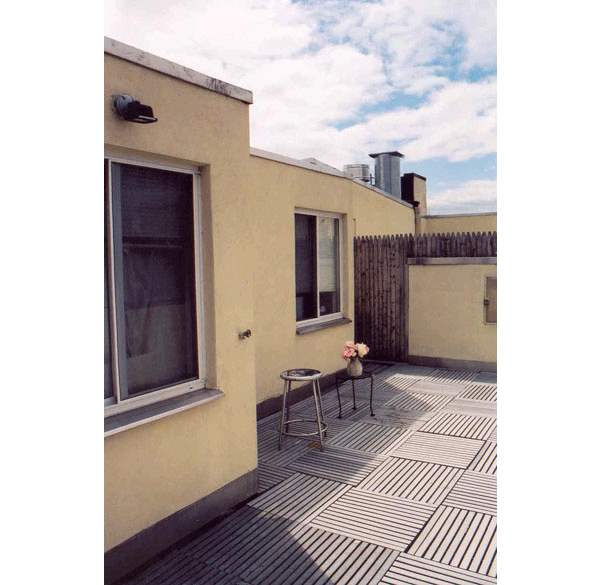 319 East 8th street: Private Terrace