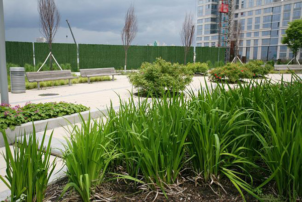 33 West End Avenue: Garden