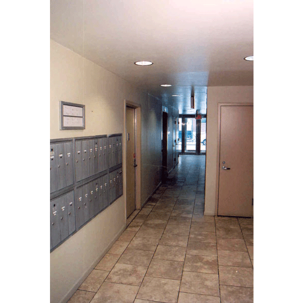 49-51 Ludlow street: Hall