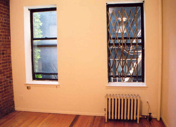 516 East 11th street: Apartment Windows