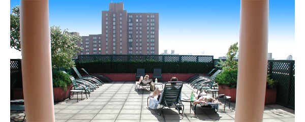 Carnegie Park: Terrace