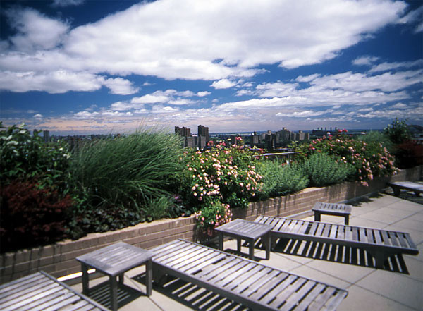 Carnegie Hill Place: the Roof