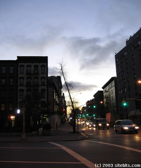 Little Italy at Dawn.