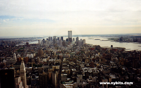 Downtown View from the Empire State Building.