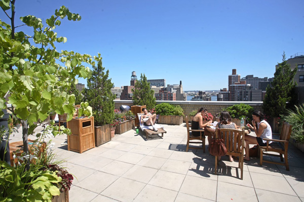 Habitat: Roof Deck (2)