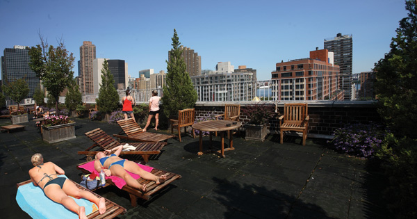 Murray Hill Manor: Rooftop Deck (1)