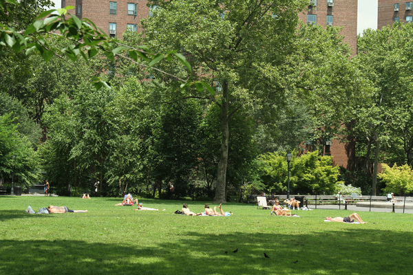 ST: Lawn (1)
