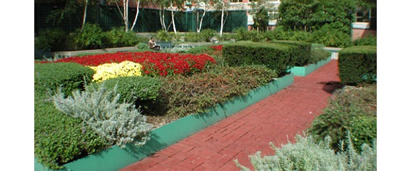 The Monterey: Garden