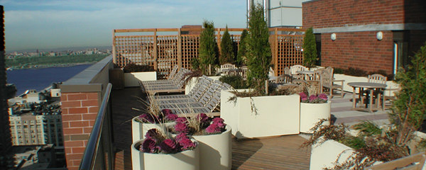 The Westport: Terrace