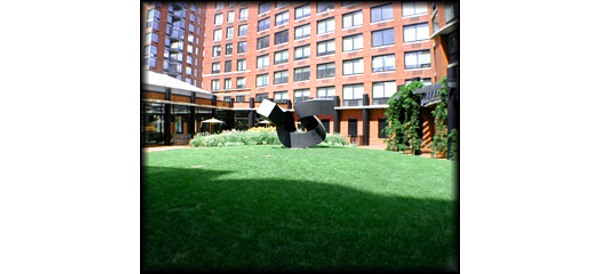 Tribeca Park: Garden
