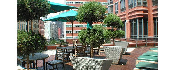 Tribeca Tower: Sun deck