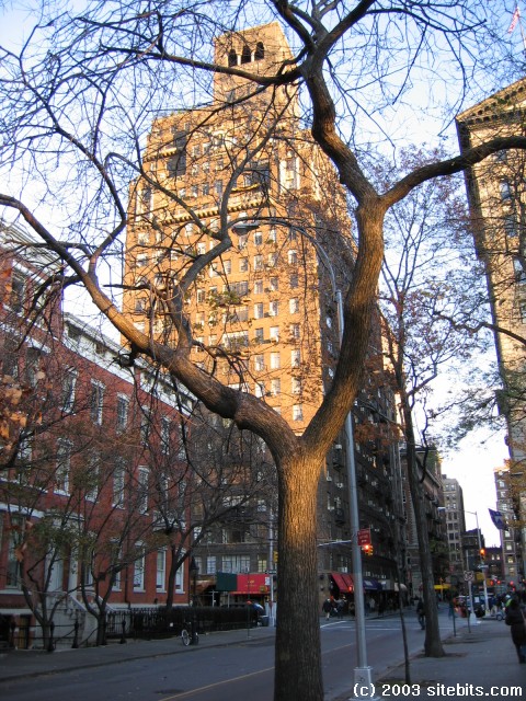 University Place near Washington Square Park.