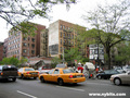 10th ave and West 44th street