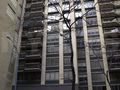 Falcon Towers