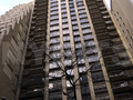 Falcon Towers - upper floors