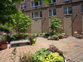 Soho Court: Garden (2)