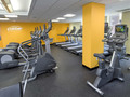 250 W 50: Gym