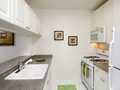 250 W 50: Kitchen
