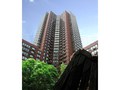 Carnegie Park: Building
