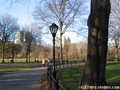 Central Park.