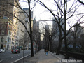 Fifth Avenue next to Central Park.