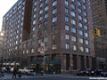 The Concerto: Lower floors
