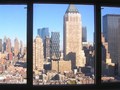 Ivy Tower: View (1)