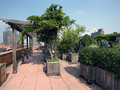 Midwest Court: Roof Deck