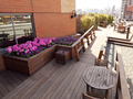 The Sagamore: roof deck (2)