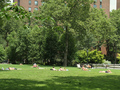 ST: Lawn (1)