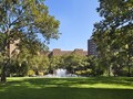 ST: Lawn (2)