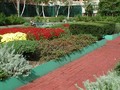 The Monterey: Garden
