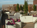 The Westport: Terrace