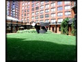 Tribeca Park: Garden