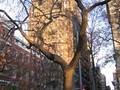 University Place near Washington Square Park.